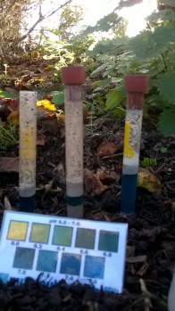 WP_20151112_10_01_58_Pro