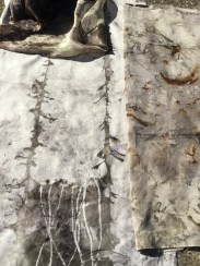 20180421_153155596_iOS