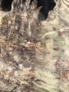 20180421_153217240_iOS