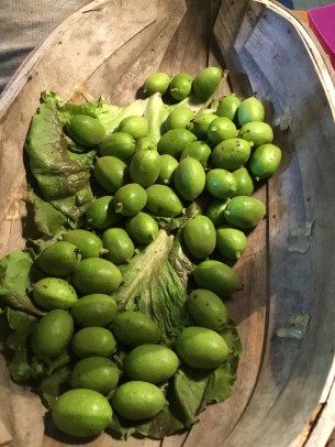 20180610_174149167_iOS