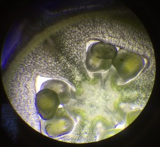 20161117_102748240_iOS