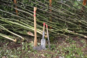 hedging-comp-2-tools-of-the-trade